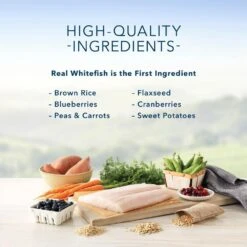 Blue Buffalo Life Protection Natural Fish & Brown Rice Recipe Adult Dry Dog Food 10 Blue Buffalo Life Protection Natural Fish & Brown Rice Recipe Adult Dry Dog Food -Tropiclean Sales Store 11518 1556044718