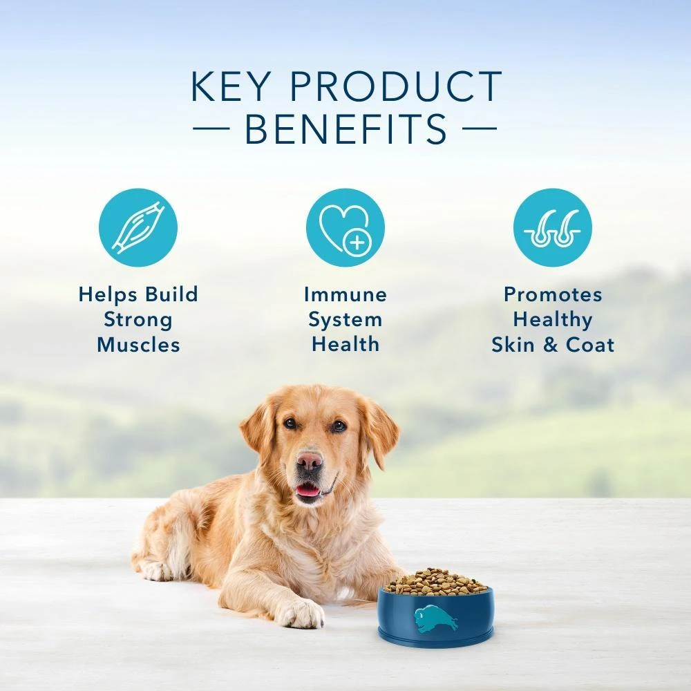 Blue Buffalo Life Protection Natural Fish & Brown Rice Recipe Adult Dry Dog Food 7 Blue Buffalo Life Protection Natural Fish & Brown Rice Recipe Adult Dry Dog Food - Image 5