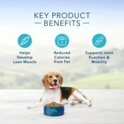 Blue Buffalo Life Protection Healthy Weight Natural Chicken & Brown Rice Recipe Adult Dry Dog Food -Tropiclean Sales Store 11520 1556046756