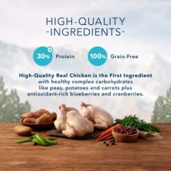 Blue Buffalo Wilderness Grain Free High Protein Chicken Recipe Adult Dry Dog Food -Tropiclean Sales Store 11532 1556050690
