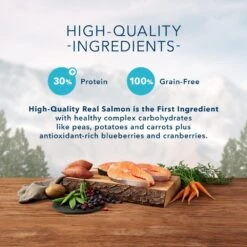 Blue Buffalo Wilderness Grain Free Natural Salmon Recipe Adult Dry Dog Food -Tropiclean Sales Store 11534 1556051792