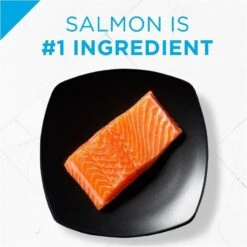 Purina Pro Plan Focus Sensitive Skin & Stomach Formula Salmon & Rice Formula Dry Dog Food -Tropiclean Sales Store 16057 1555601583