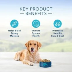 Blue Buffalo Life Protection Natural Chicken & Brown Rice Recipe Adult Dry Dog Food 12 Blue Buffalo Life Protection Natural Chicken & Brown Rice Recipe Adult Dry Dog Food -Tropiclean Sales Store 24933 1556044483