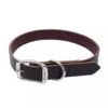 Coastal Pet Products Circle T Latigo Leather Town Dog Collar Medium 5/8" X 14" -Tropiclean Sales Store 24c56f0dc0977e68d6534a9465c14e476c6f6896 590ff745 8ab8 4810 ba3b 08e2d18853a3