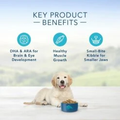 Blue Buffalo Life Protection Natural Chicken & Brown Rice Recipe Puppy Dry Dog Food -Tropiclean Sales Store 29497 1556048692