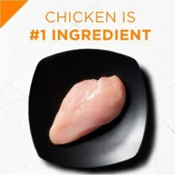 Purina Pro Plan Savor Puppy Shredded Blend Chicken & Rice Formula Dry Dog Food 15 Purina Pro Plan Savor Puppy Shredded Blend Chicken & Rice Formula Dry Dog Food -Tropiclean Sales Store 31545 1555602552