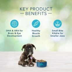 Blue Buffalo Freedom Grain Free Chicken Recipe Puppy Dry Dog Food -Tropiclean Sales Store 31836 1556041484