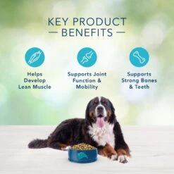 Blue Buffalo Freedom Grain Free Chicken Recipe Large Breed Adult Dry Dog Food -Tropiclean Sales Store 31842 1556040700