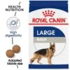 Royal Canin Size Health Nutrition Large Breed Adult Dry Dog Food 1 Royal Canin Size Health Nutrition Large Breed Adult Dry Dog Food -Tropiclean Sales Store 33680 1543356977