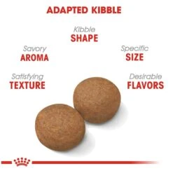 Royal Canin Size Health Nutrition Large Breed Adult Dry Dog Food -Tropiclean Sales Store 33680 1543357008