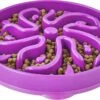 Outward Hound Dog Games Slo Bowl Slow Feeders Flower Design Dog Bowl -Tropiclean Sales Store 35450 1542046270