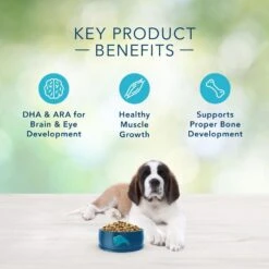 Blue Buffalo Freedom Large Breed Puppy Chicken Recipe Dry Dog Food -Tropiclean Sales Store 35907 1556041745