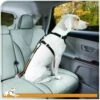 Kurgo Seatbelt Tether -Tropiclean Sales Store 36424 1