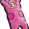 Outward Hound Invincible Minis Stuffingless Piggy Dog Toy -Tropiclean Sales Store 41816 1519926202