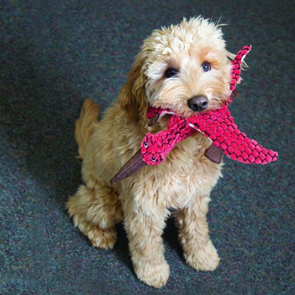 KONG Dynos Pterodactyl Plush Dog Toy 4 KONG Dynos Pterodactyl Plush Dog Toy - Image 2