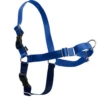 PetSafe Easy Walk Royal Blue & Navy Dog Harness -Tropiclean Sales Store 42571 1537459539
