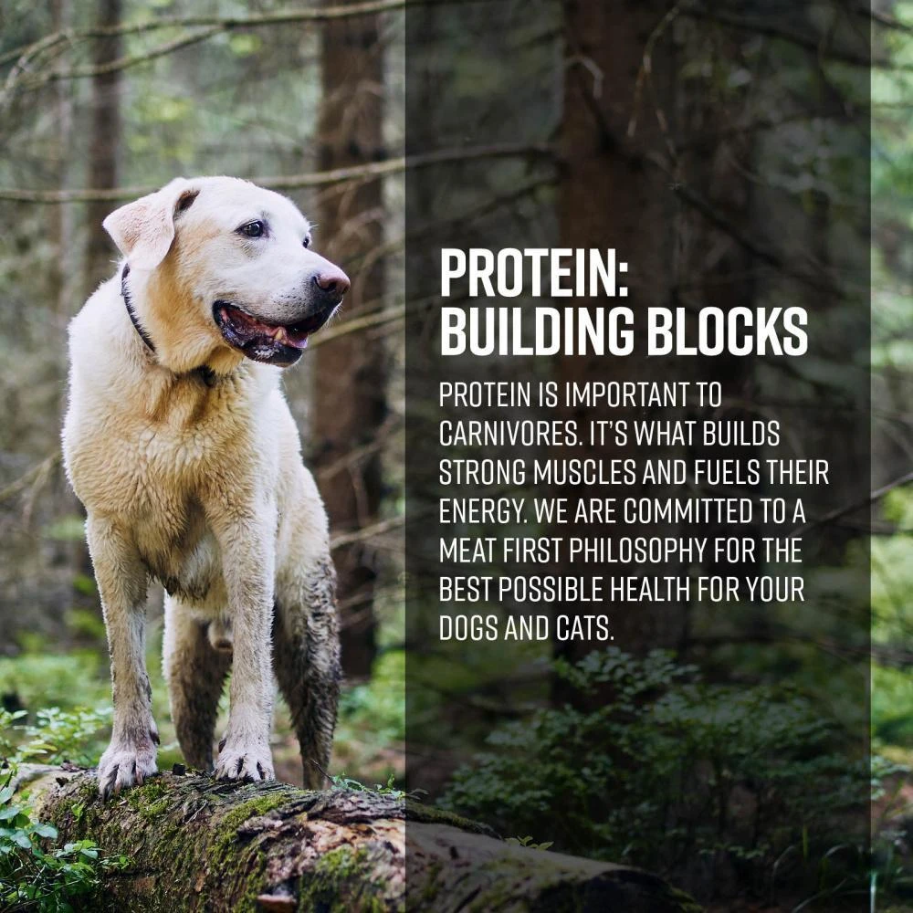 Essence Grain Free Air & Gamefowl Recipe Dry Dog Food 6 Essence Grain Free Air & Gamefowl Recipe Dry Dog Food - Image 4