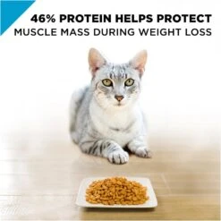 Purina Pro Plan Focus Weight Management Chicken & Rice Formula Adult Dry Cat Food 10 Purina Pro Plan Focus Weight Management Chicken & Rice Formula Adult Dry Cat Food -Tropiclean Sales Store 43548 1570133863