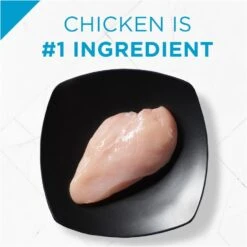 Purina Pro Plan Focus Weight Management Chicken & Rice Formula Adult Dry Cat Food 11 Purina Pro Plan Focus Weight Management Chicken & Rice Formula Adult Dry Cat Food -Tropiclean Sales Store 43548 1570133873