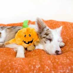 ZippyPaws Halloween Brainey Pumpkin Plush Dog Toy -Tropiclean Sales Store 43594 1565202102