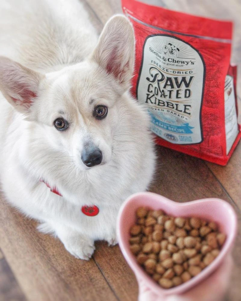 Stella & Chewy's Raw Coated Wholesome Grains Kibble Lamb 3 Stella & Chewy's Raw Coated Wholesome Grains Kibble Lamb