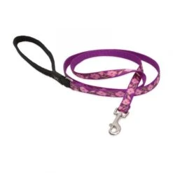 Lupine Pet Original Designs Padded Handle Dog Leash -Tropiclean Sales Store 85239