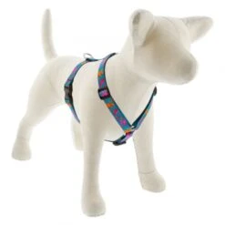 LupinePet Original Designs Roman Dog Harness -Tropiclean Sales Store 93803