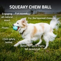 Playology Squeaky Chew Ball Chicken Scent -Tropiclean Sales Store BENEFITS SqueakyChewBall 2000x c6f8a788 5425 484a 9c01 28e3825af832
