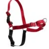 PetSafe Easy Walk® Harness, No Pull Dog Harness -Tropiclean Sales Store EWH RED a