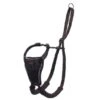 Company Of Animals Halti No Pull Harness