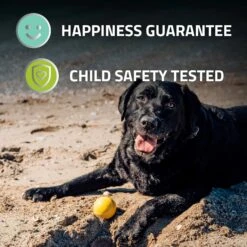 Playology Squeaky Chew Ball Chicken Scent -Tropiclean Sales Store LIFESTYLE SqueakyChewBall 2000x dd1ae593 a701 4214 ba89 2f014ddbb3e3