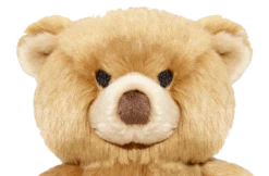 Fluff & Tuff Mr. Honey Bear 8 Fluff & Tuff Mr. Honey Bear -Tropiclean Sales Store MrHoneyBear Detail 008 37637