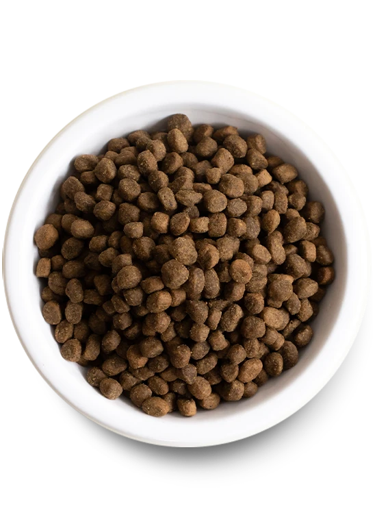 Open Farm Homestead Turkey & Ancient Grains Dry Dog Food 4 Open Farm Homestead Turkey & Ancient Grains Dry Dog Food - Image 2