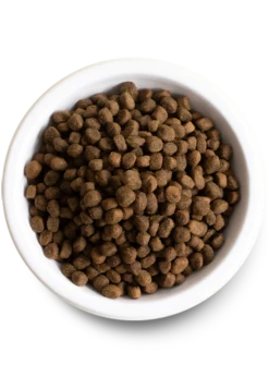 Open Farm New Zealand Venison Dry Dog Food 6 Open Farm New Zealand Venison Dry Dog Food -Tropiclean Sales Store PDP DryDog VEN 02 Bowl 548x768 crop center b16338d1 ebf1 4300 9809 94881d18f5cc