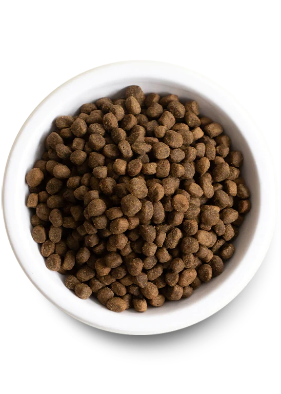 Open Farm New Zealand Venison Dry Dog Food 4 Open Farm New Zealand Venison Dry Dog Food - Image 2