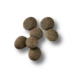 PURINA PRO PLAN Pro Plan Sensitive Skin & Stomach Salmon & Rice Large Breed Probiotic Dry Puppy Food