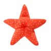 Fluff & Tuff Ziggy Starfish Toy