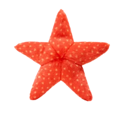 Fluff & Tuff Ziggy Starfish Toy