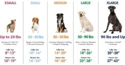 Coastal Pet Products No! Slip Martingale Adjustable Dog Collar -Tropiclean Sales Store breedchart2019