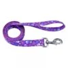 Coastal Pet Products Styles Dog Leash Special Paws 5/8" X 6'