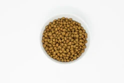 Stella & Chewy's Stella's Essentials Grain-Free Wild Mountain Meadow Recipe With Grass-Fed Lamb Dry Dog Food -Tropiclean Sales Store ebnpzxzpyijv5ze7ekc4