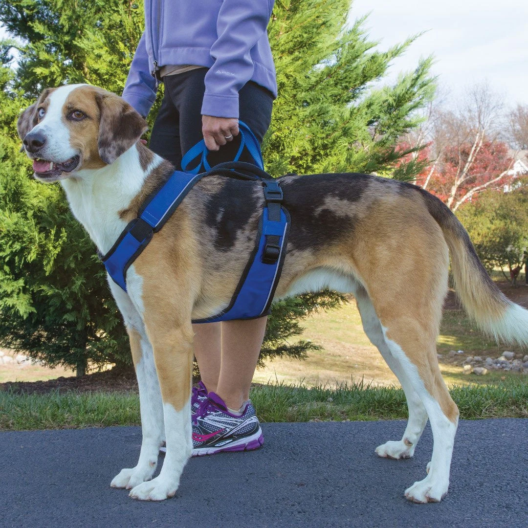 Petsafe EasySport Harness 4 Petsafe EasySport Harness - Image 2