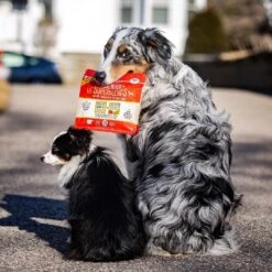 Stella & Chewy's Chicken Meal Mixer Lil' SuperBlends 6 Stella & Chewy's Chicken Meal Mixer Lil' SuperBlends -Tropiclean Sales Store fublx4qb7hj0djzaj4rh