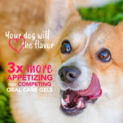 TropiClean Enticers Honey Marinated Chicken Flavor Teeth Cleaning Gel For Dogs -Tropiclean Sales Store lcsatac4tmhxidcp41yp 163ae422 00bb 4954 adb1 ab6db133b7bc