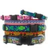 Lupine Pet MicroBatch Dog Collar 1 Lupine Pet MicroBatch Dog Collar -Tropiclean Sales Store mb collarstack 3 2