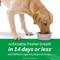TropiClean Fresh Breath Dental Health Solution Plus Hip & Joint For Dogs -Tropiclean Sales Store nczycxzncp6prv0b1dfo 192eeb4f 31b6 4dba 8bcc 97dd9595cdfc