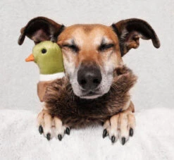 Fluff & Tuff Morley Mallard 8 Fluff & Tuff Morley Mallard -Tropiclean Sales Store noodles morley 83286