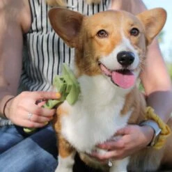 Coastal Pet Products Safari Dog Self-Cleaning Slicker Brush -Tropiclean Sales Store oiv5wxlba5pci5k4chxm