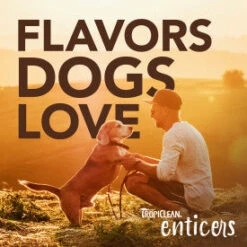 TropiClean Enticers Smoked Beef Brisket Flavor Teeth Cleaning Gel -Tropiclean Sales Store rw7yiwaeumfqethzvx3d e280b327 aba6 471b 9281 023d05a376ce