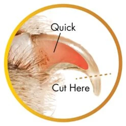 Coastal Pet Products Safari Guillotine Dog Nail Trimmer 11 Coastal Pet Products Safari Guillotine Dog Nail Trimmer -Tropiclean Sales Store voppe0lzldywxwftugk0